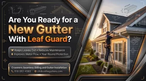 Are You Ready for a New Gutter With Leaf Guard